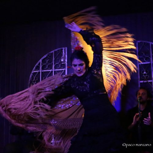 tablao flamenco MAdrid flamenco show